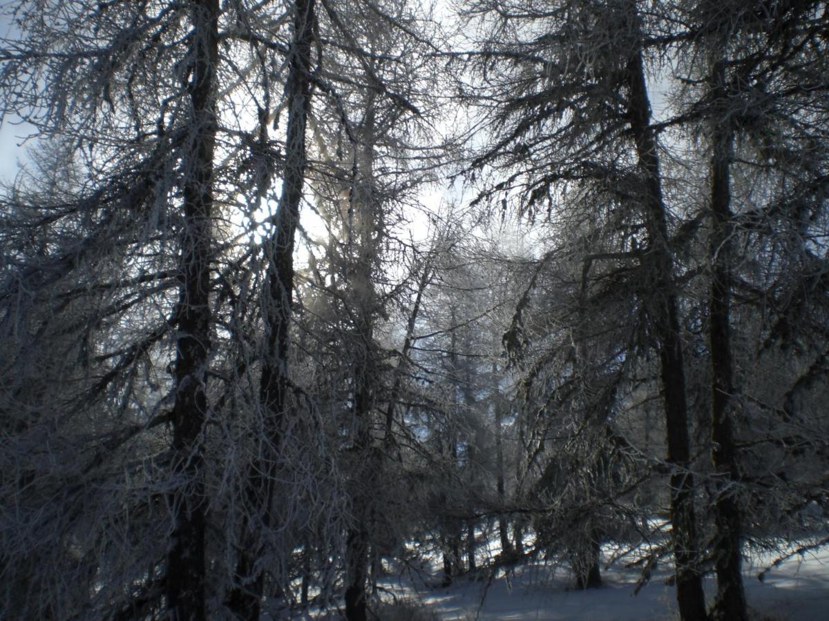 T3 Coquet Et Lumineux Aux Pieds Des Pistes Διαμέρισμα Ancelle Εξωτερικό φωτογραφία