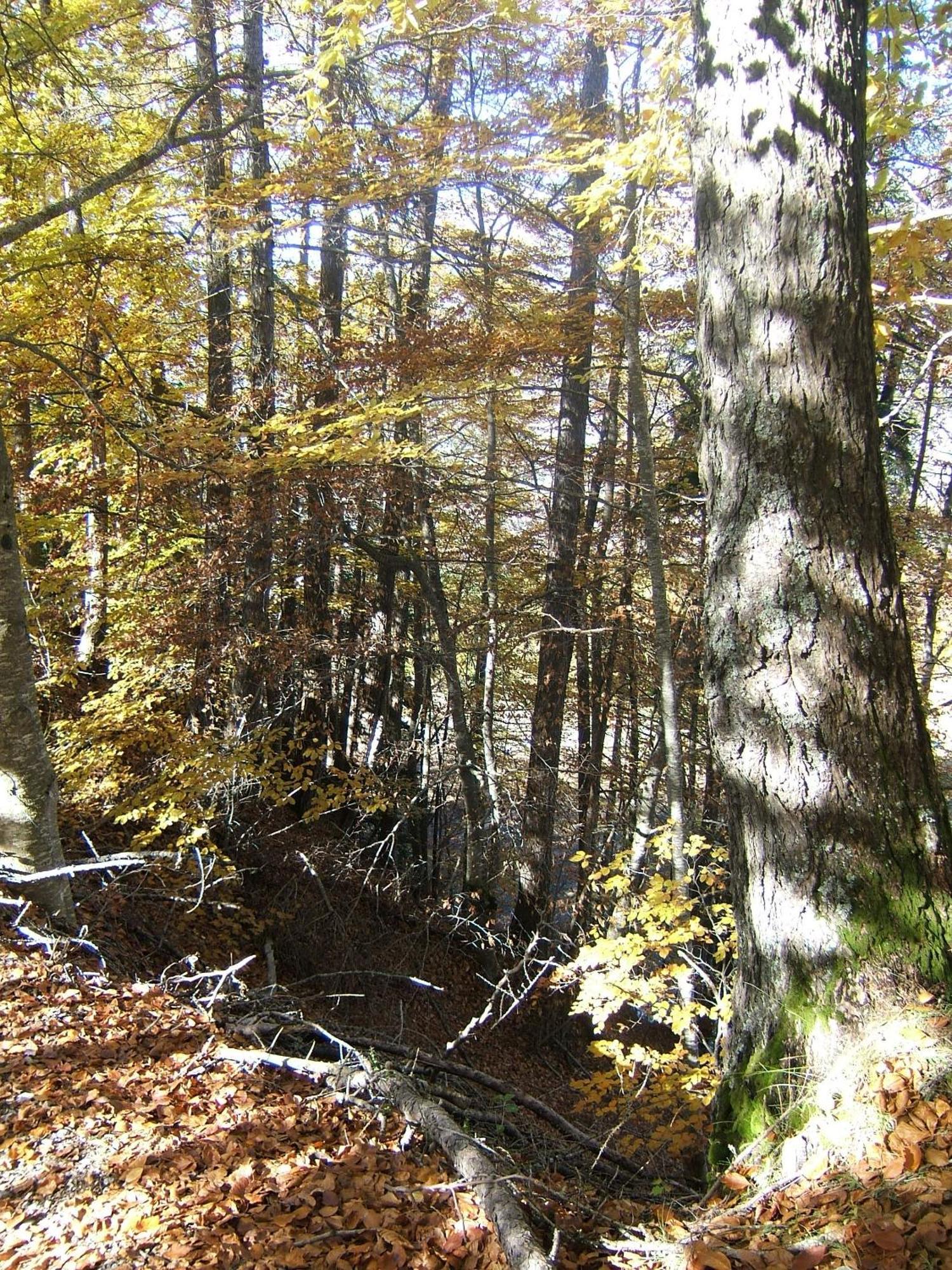 T3 Coquet Et Lumineux Aux Pieds Des Pistes Διαμέρισμα Ancelle Εξωτερικό φωτογραφία